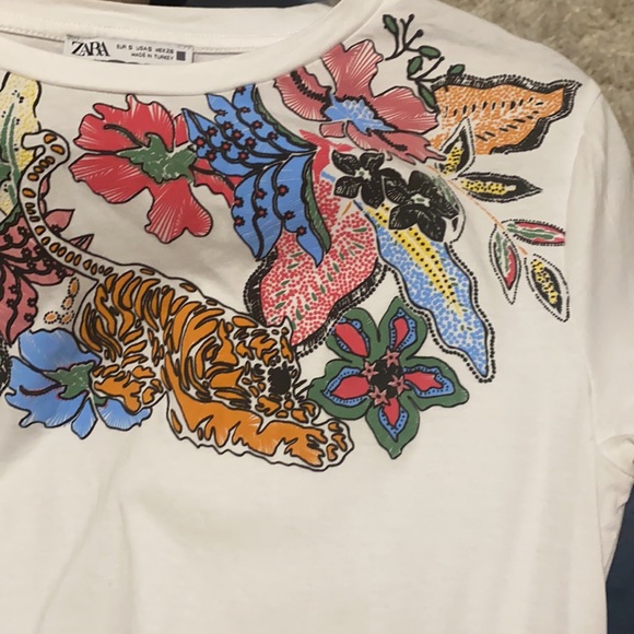 Zara t shirt - Picture 4 of 4